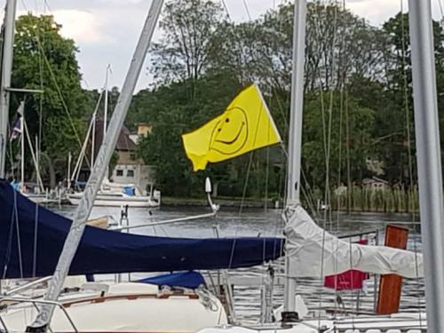 Smiley-Fahne-2-768x576-1